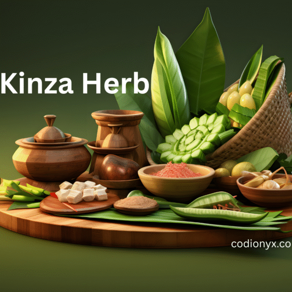 Kinza Herb