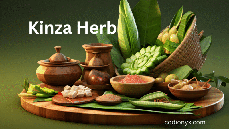 Kinza Herb: A Fragrant Treasure of Nature