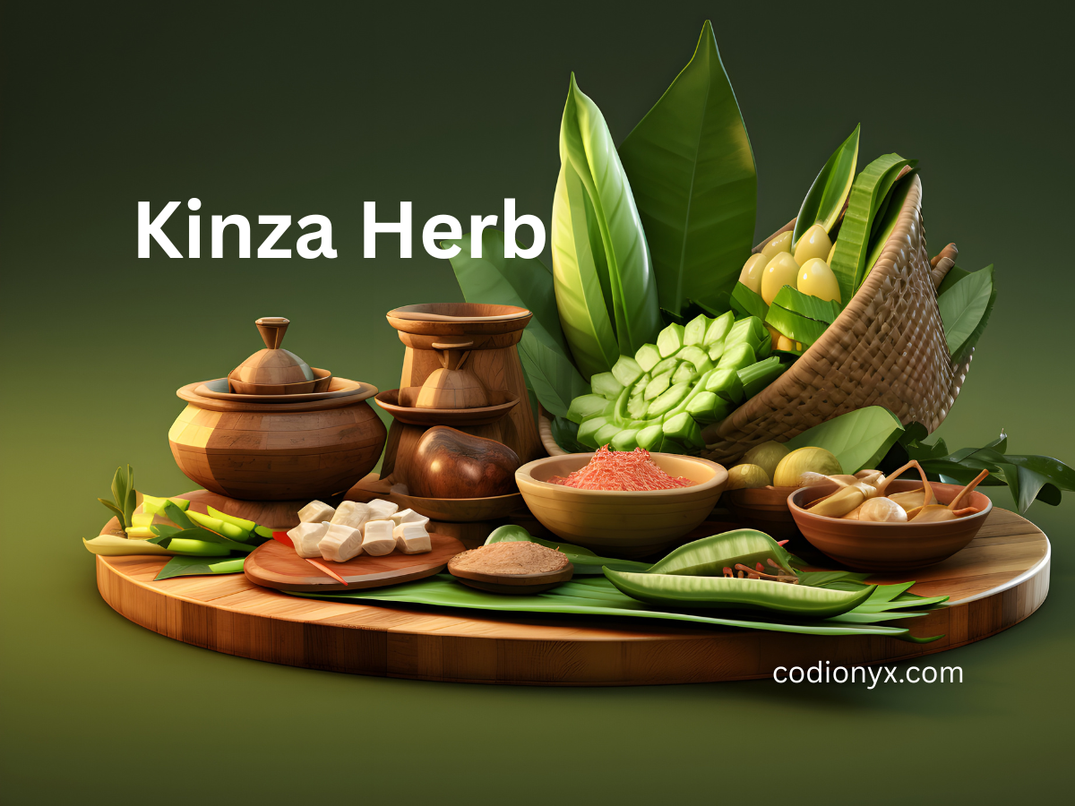 Kinza Herb