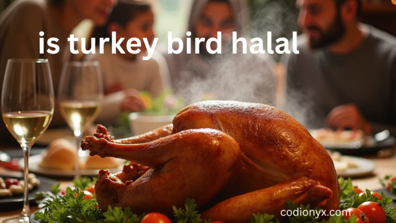Is Turkey Bird Halal?  A Complete Guide for Muslims to Follow